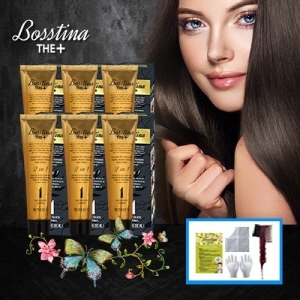 보스티나 더 플러스