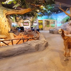 [부산/강서구] 라라쥬 동물원