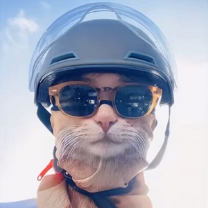 일퍼센트 냥냥이 고양이 마스크