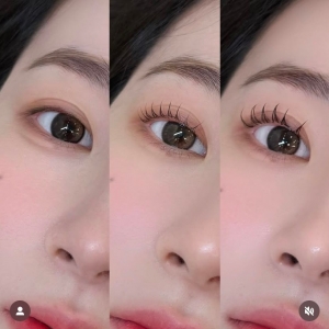 [고양시/일산동구] 고운눈썹