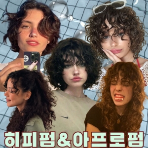 [서울/서초구] 몬도서울 (모아 실장)