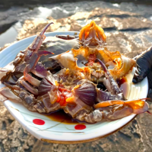 [인스타] [릴스&피드] [전북/부안군] 채석강맛집