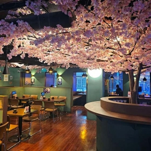 [경기/화성시] 이자카야 월화