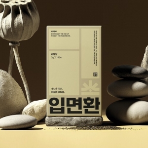 현대보감 입면환