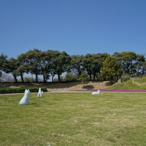 [인스타] [제주/서귀포시] 돌코리숲 테마파크 (4월 24일 방문)