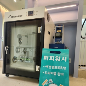 [인스타] [릴스] [경기/안양시] 퍼피워시